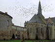 Château de Martigné Briant avec un survol de pigeons