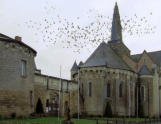 Château de Martigné Briant avec un survol de pigeons