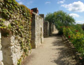 Montreuil Bellay : allée des remparts du château