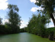 Maillezais   ( le marais poitevin ) balade en barque dans le marais 1