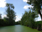 Maillezais   ( le marais poitevin ) balade en barque dans le marais 1