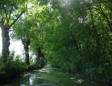 Maillezais   ( le marais poitevin ) balade en barque dans le marais 4