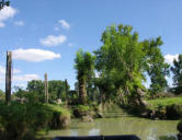 Maillezais   ( le marais poitevin ) balade en barque dans le marais 5