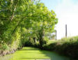 Maillezais   ( le marais poitevin ) balade en barque dans le marais 9