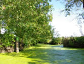 Maillezais   ( le marais poitevin ) balade en barque dans le marais 10