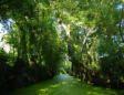 Maillezais   ( le marais poitevin ) balade en barque dans le marais 11