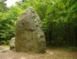 Le château de la Guignardière à Avrillé : Menhirs 1