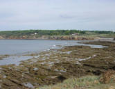 la côte à Brem sur Mer 2