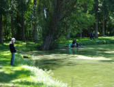 Commequiers   ( le château ) 6 au delà du fossé pratique de la pêche