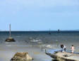 Beauvoir sur Mer - Passage du Gois, décrue de la marée