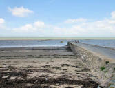 Beauvoir sur Mer - Passage du Gois à marée basse