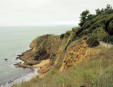 La Pointe de Chemoulin- la côte