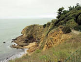 La Pointe de Chemoulin- la côte