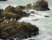 La Pointe de Chemoulin- l'océan à l'assaut des rochers