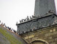 Martigné Briant : l'église colonisée par les pigeons