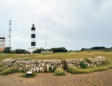 Saint Denis d'Oléron : exemple de piège à poissons et le phare de chassiron 