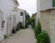 Talmont sur Gironde : ruelle du village de Talmont avec des roses trémières