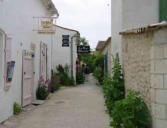 Talmont sur Gironde : ruelle du village de Talmont avec des roses trémières