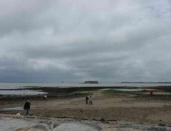Fouras : chercheurs de coquillages à marée basse en façe de fort Enet