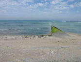 Saint Clément des Baleines : plage et piège à poissons