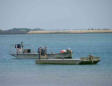 Saint Clément des Baleines : bateaux de pêche