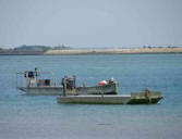 Saint Clément des Baleines : bateaux de pêche