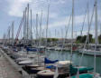 Saint Martin en Ré : amarrage des bateaux au port