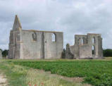 Notre Dame des Châteliers  ( commune de La Flotte en Ré ) vestiges de l'abbaye