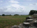 Notre Dame des Châteliers  ( commune de La Flotte en Ré ) paysage autour de l'abbaye