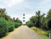 Saint Denis d'Oléron : allée et en arrière plan le phare de chassiron 