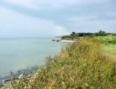 Saint Denis d'Oléron : vue générale sur la côte au phare de chassiron 