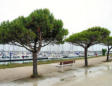 Saint Denis d'Oléron : promenade sur le port