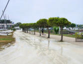 Saint Denis d'Oléron : promenade le long du port