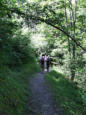 Doucy combelouvière : domaine de valmorel en été, sentier de randonnée