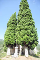 Saint Benoit en Diois : extérieur de l'église