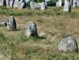 Carnac : les mégalhites - alignement de trois petits menhirs