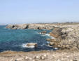 Quiberon : la côte - l'océan grignotant les falaises