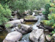 Pont Aven - rivière l'Aven - grosses pierres dans le lit de la rivière