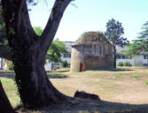 Suscinio : le château : le pigeonnier