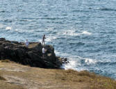 Quiberon : la côte - pêcheurs