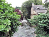 Pont Aven - rivière l'Aven - verdure et maison