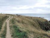 Tregunc - pointe de Trévignon - chemin côtier et rivage