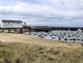 Tregunc - pointe de Trévignon - port de pêche et plaisance