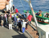 Le Guilvinec : déchargement du poissons du bateau