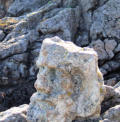 Rothéneuf : tête sculptée