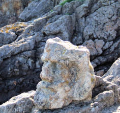 Rothéneuf : tête sculptée