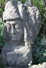 Rothéneuf : tête