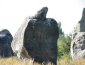 Carnac : les mégalhites - menhirs 10