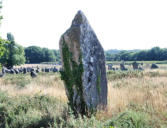 Carnac : les mégalhites - menhirs pointu