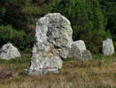 Carnac : les mégalhites - menhirs 8